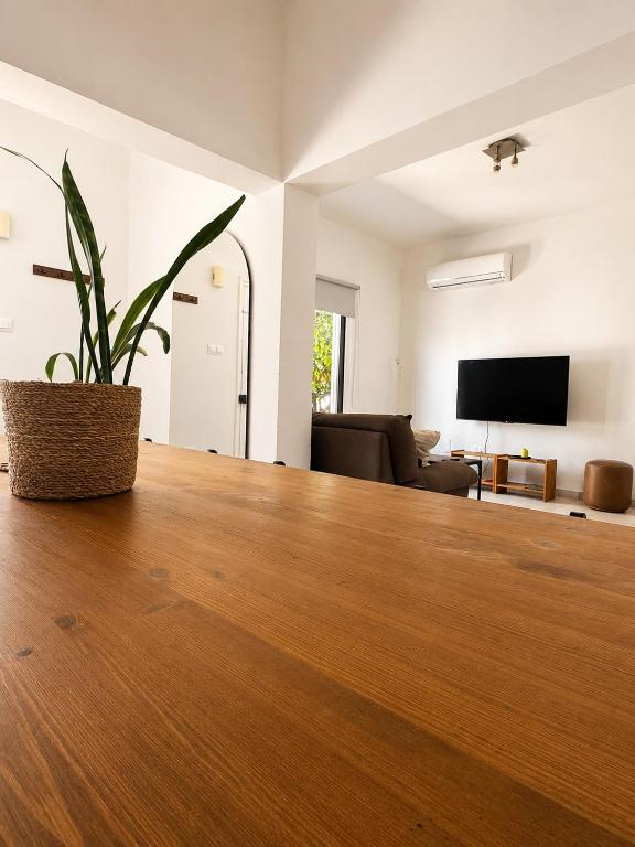 a living room with a potted plant on a wooden floor at Jasmine House Egkomi in İncirli