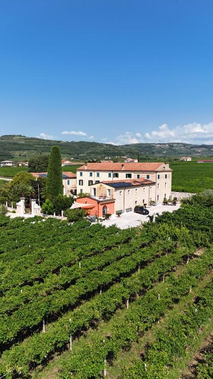 a vineyard with a building in the middle of a field at Corte Bonfiglio Colombari in Illasi