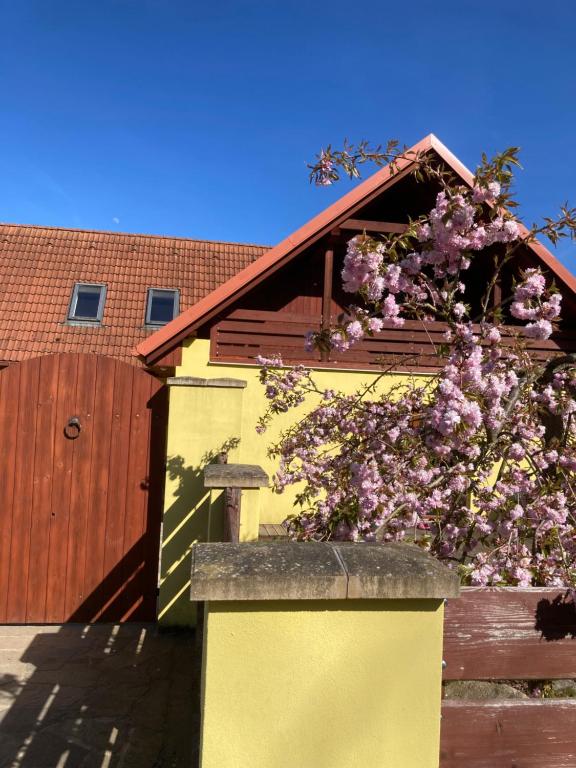 a house with a fence with purple flowers on it at Chalupa Na konci Lhoty in Pluhův Žďár