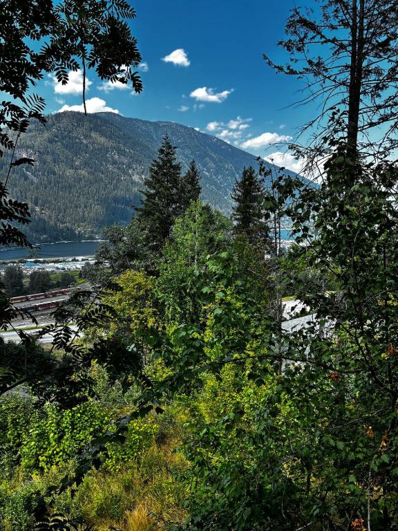 a view of a mountain with trees and a lake at The Private Perch in Nelson