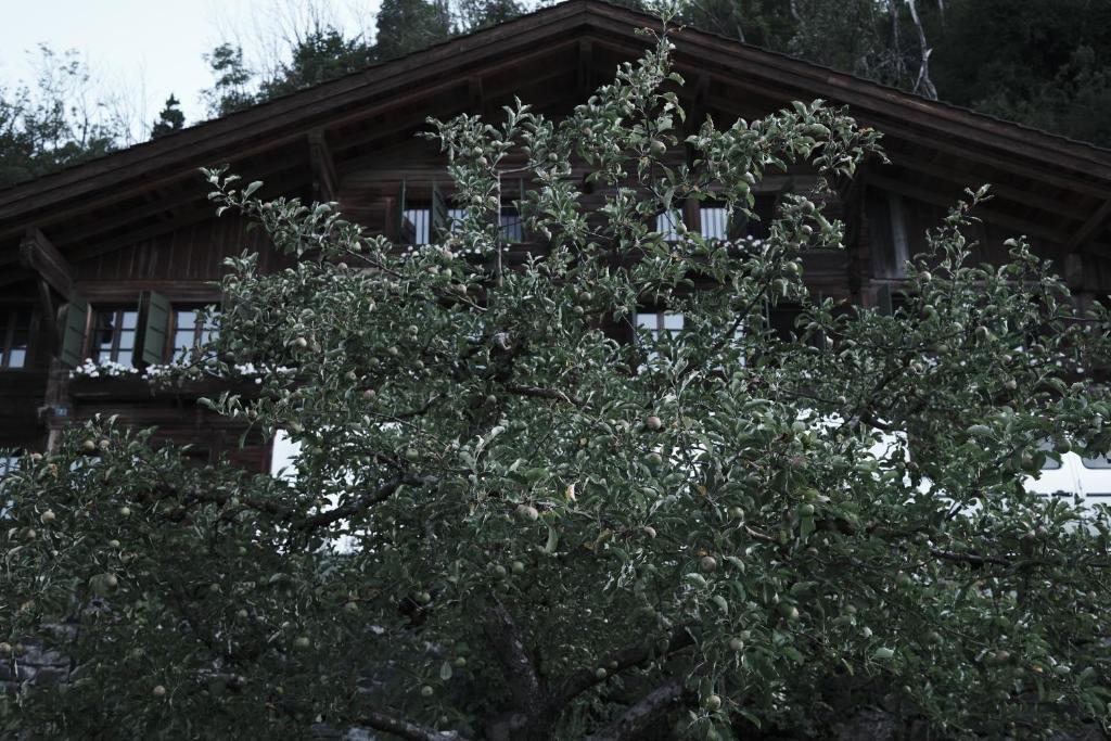 A garden outside Haus Mannenberg