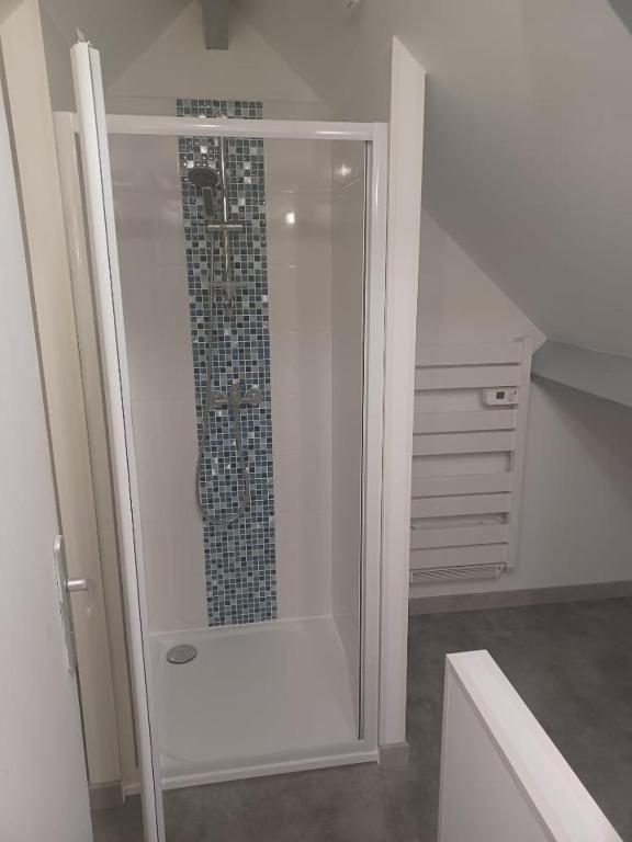 a shower with a glass door in a bathroom at Studio Paisible in Nouzilly