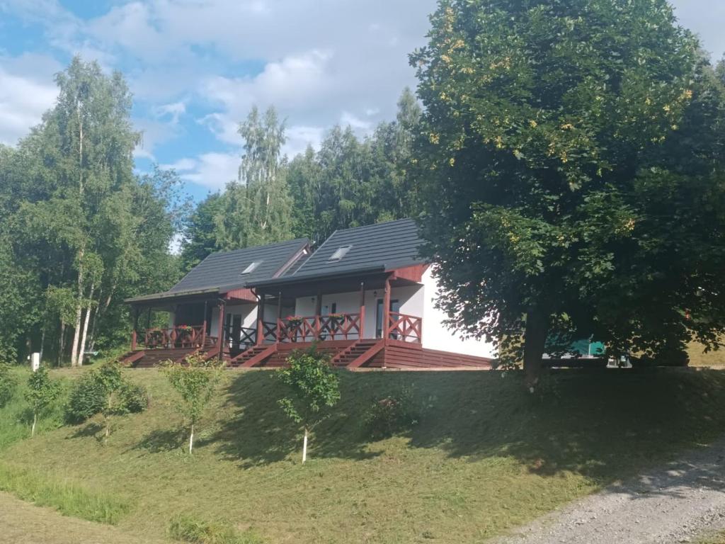 a house on a hill with a tree at EkoGaik in Lewin Kłodzki