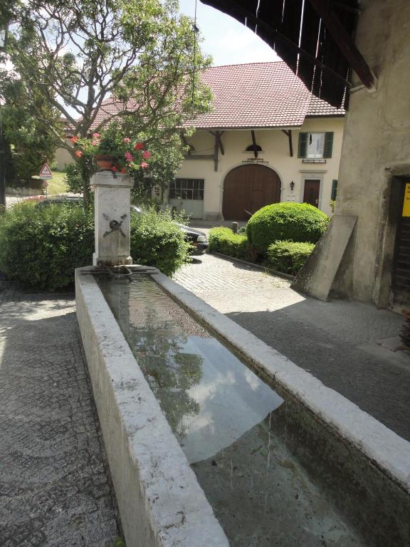 Zahrada ubytování Hotel Gasthaus Hirschen
