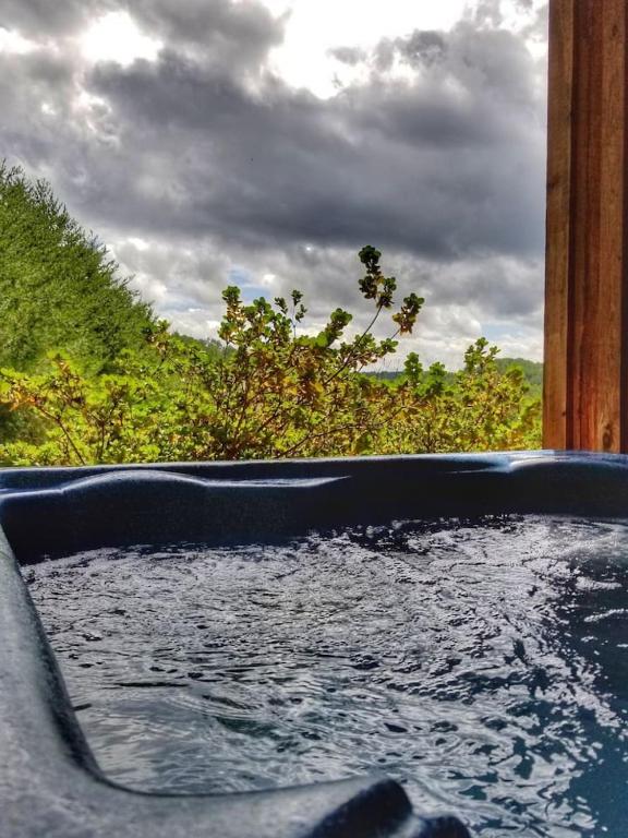 a bath tub filled with water in front of a forest at 2BR/1BA Cabin | Hot Tub | Ocoee River Area | Wifi in Copperhill