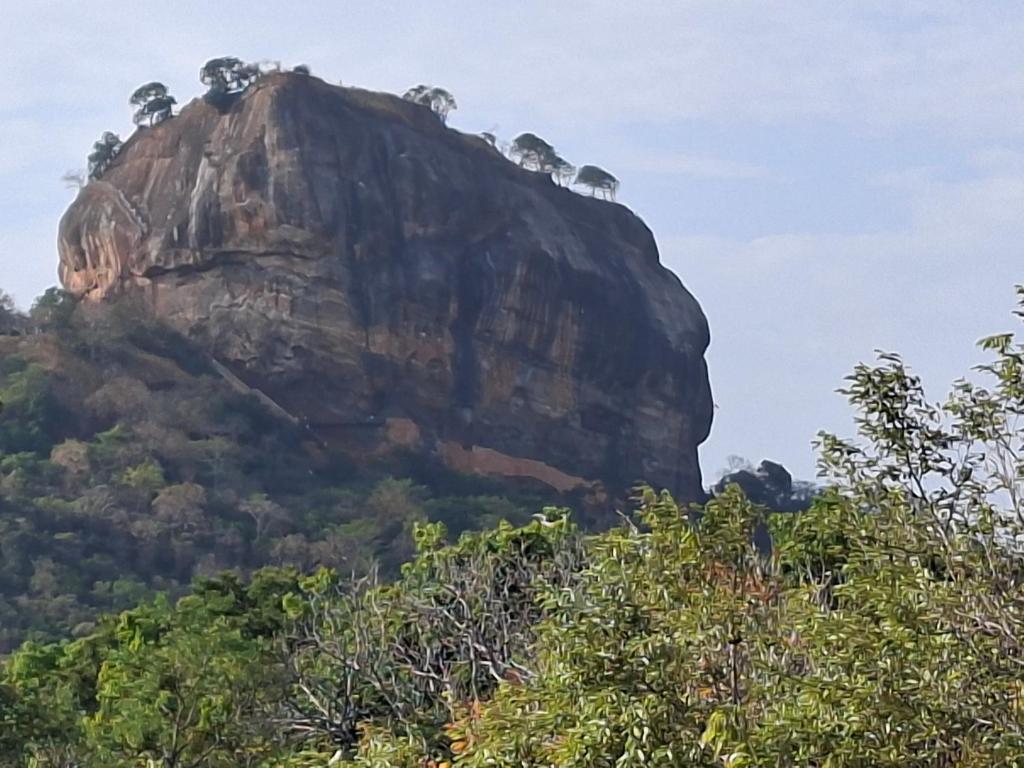 a mountain with a group of animals on top at Sigiri Arana Sigiriya in Sigiriya