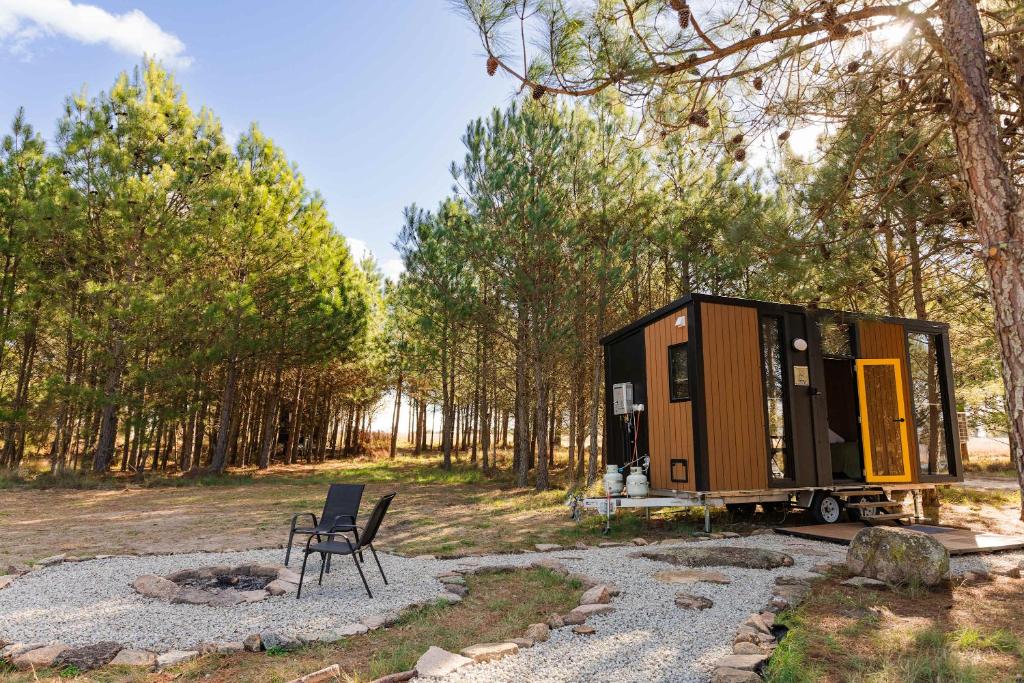 a tiny house on a trailer in the woods at Novena Pines by Tiny Away in Thulimbah
