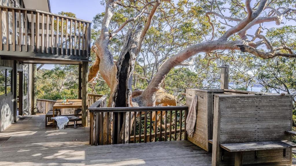 a wooden deck with a tree and a bench at Coastal Wilderness Retreat in Hardys Bay