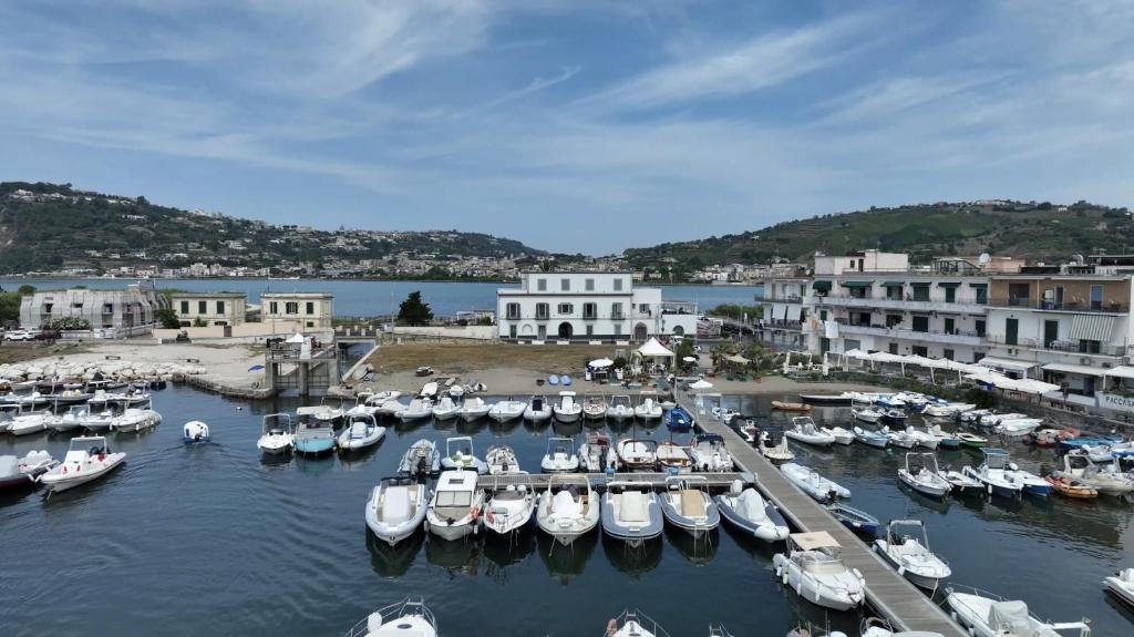 a group of boats docked in a harbor with buildings at Lidi & Miti in Bacoli