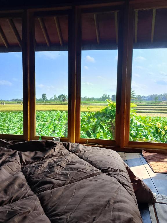 a bed in a room with a view of a field at Aura V Bungalow in Praya