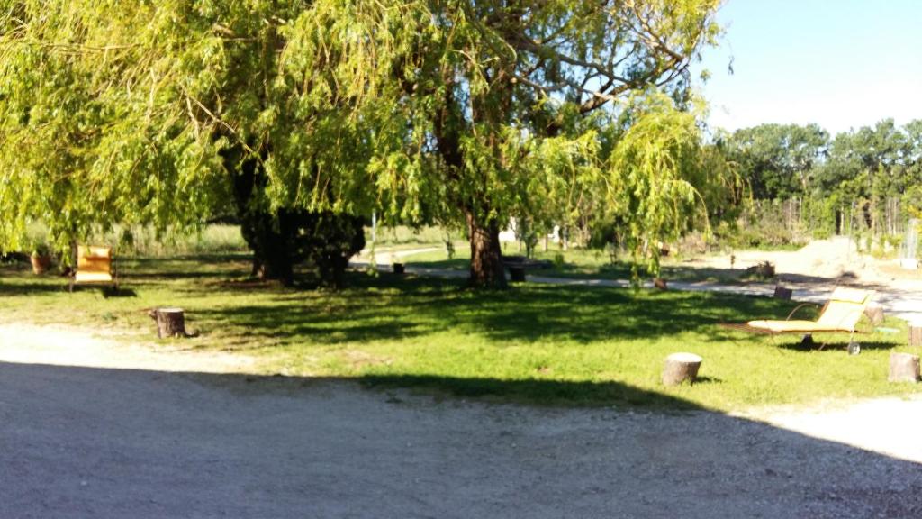 BédarridesにあるEs Aquiの芝生のベンチと木の公園