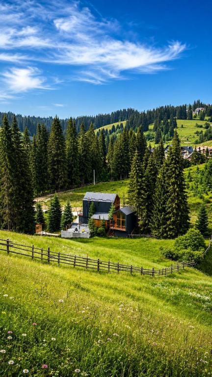 a barn on a hill in a field at Savanna Mountain forest resort in Yablunytsya