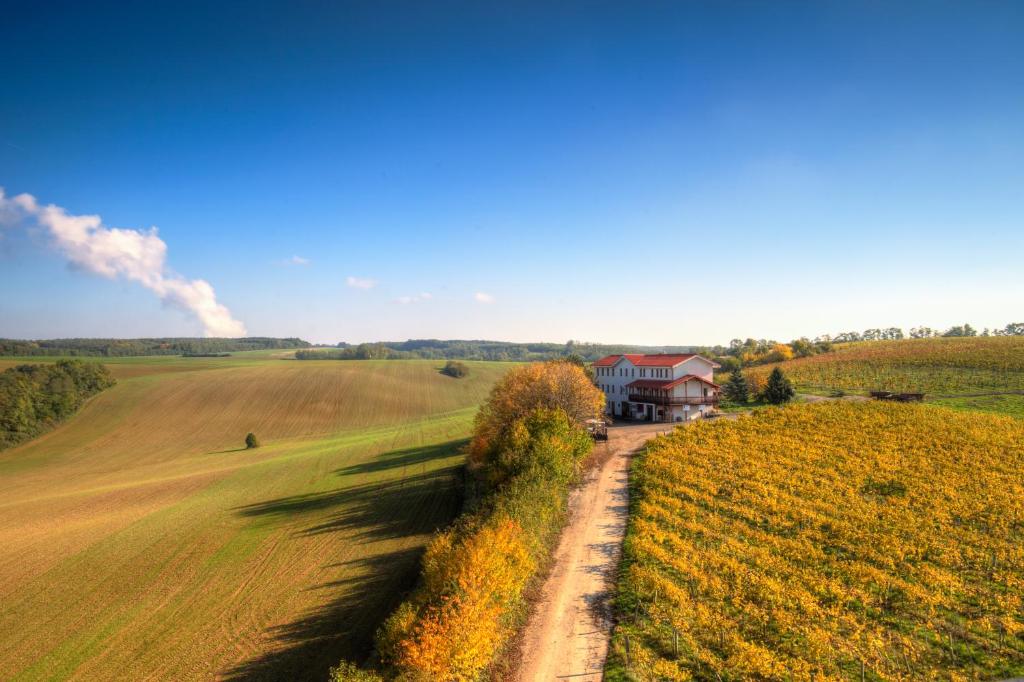 a farm house in the middle of a field at Vinum Vivo winery in Nevidzany