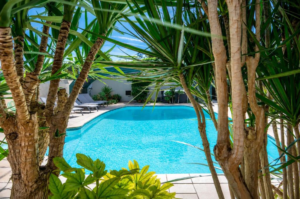 a swimming pool surrounded by palm trees at Residence Melody - Adult only in Saint-Rémy-de-Provence