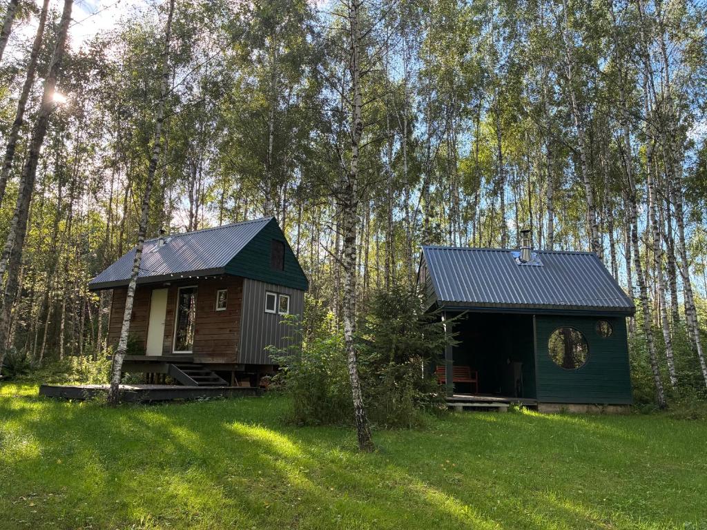 a cabin in the middle of a field with trees at Inkilas in Sidabrinės