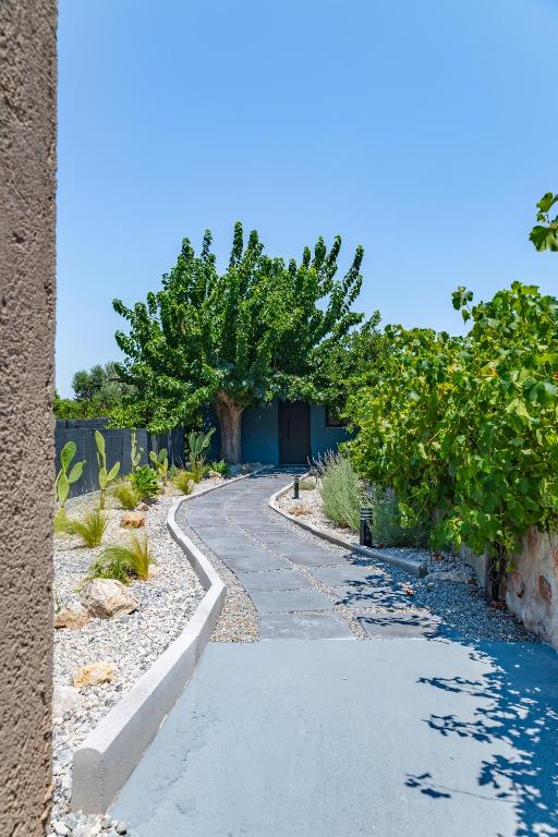 a walkway leading to a house with a tree at Kálos Housing - Adults Only in Kolymbia