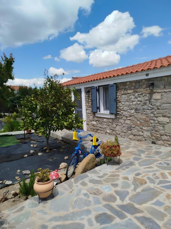 a blue bike parked in front of a house at Lilly of Lemnos in Roussopoúlion