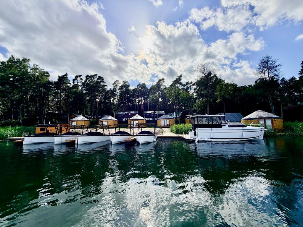 a group of boats sitting in the water at Forest Marina 
