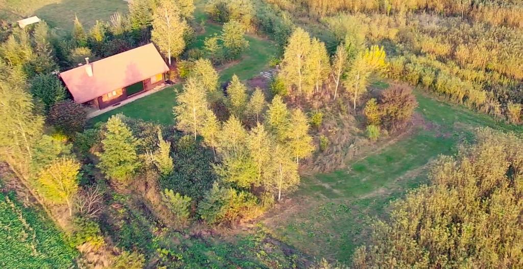 an aerial view of a house in a forest at Plantacja Wierzby Agroturystyka in Haczów