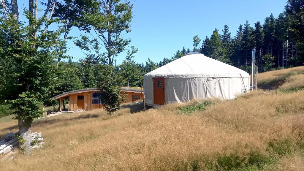 a yurt in the middle of a grassy field at La Yourte Un Autre Monde in Le Hohwald