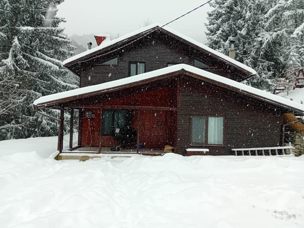 a house with snow on the ground in front of it at Cabana Elena in Rausor
