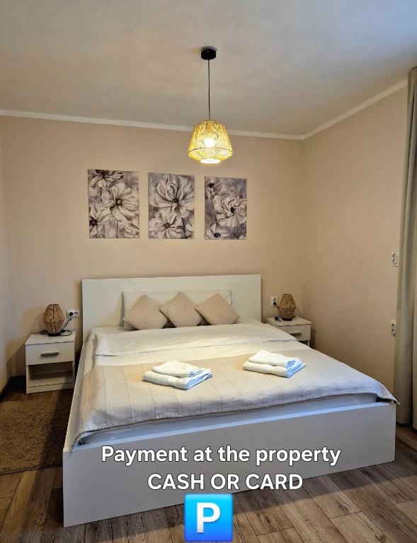 a bedroom with a bed and a chandelier at Airport Apartments Alexandra - Auto Park in Surčin