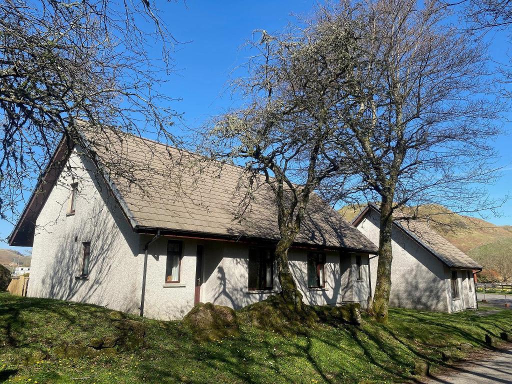 a white house on a hill with two trees at Puffin - Kerrera in Lerags