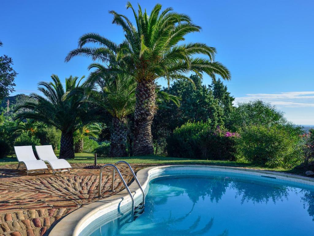 a swimming pool with two chairs and a palm tree at Finca Fiori 1 in Is Molas 