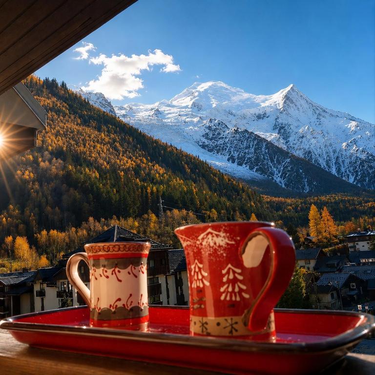 Le Chamois 5E Balcon panoramique MontBlanc avec parking gratuit