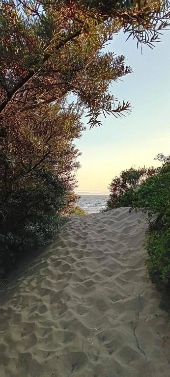 a sandy path leading to the ocean on a beach at Ocean Drive Deluxe Apartment with use of the Day time Beach Hut in Brean