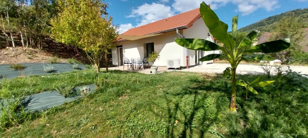 a house with a palm tree in the yard at Le gîte de Coline in La Bridoire