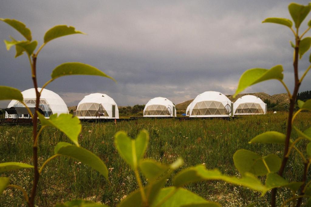 a row of white domes in a field at Nomad Space in Bar-Bulak