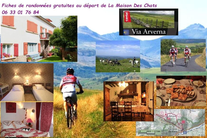 un collage de fotos de personas montando bicicletas y hogares en La Maison des Chats en Saint-Mary-le-Plain