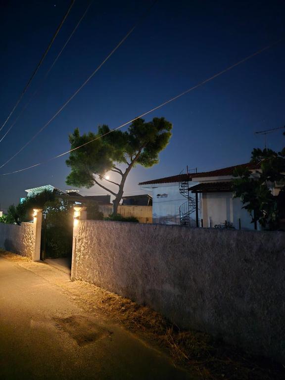 Melomeno home 1