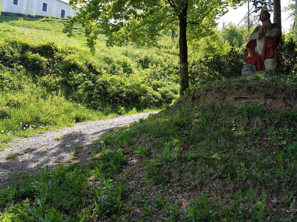 Zahrada ubytování Gasthof Restaurant Steirereck'n