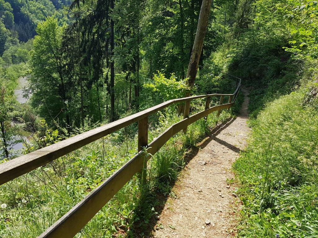Příroda nedaleko penzionu – hostince