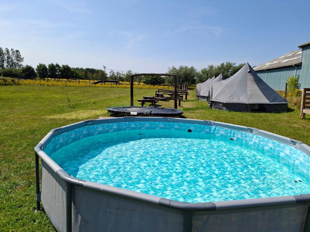 a hot tub in a field with a tent at Frifelt Kro Almost Glamping telt in Frifelt