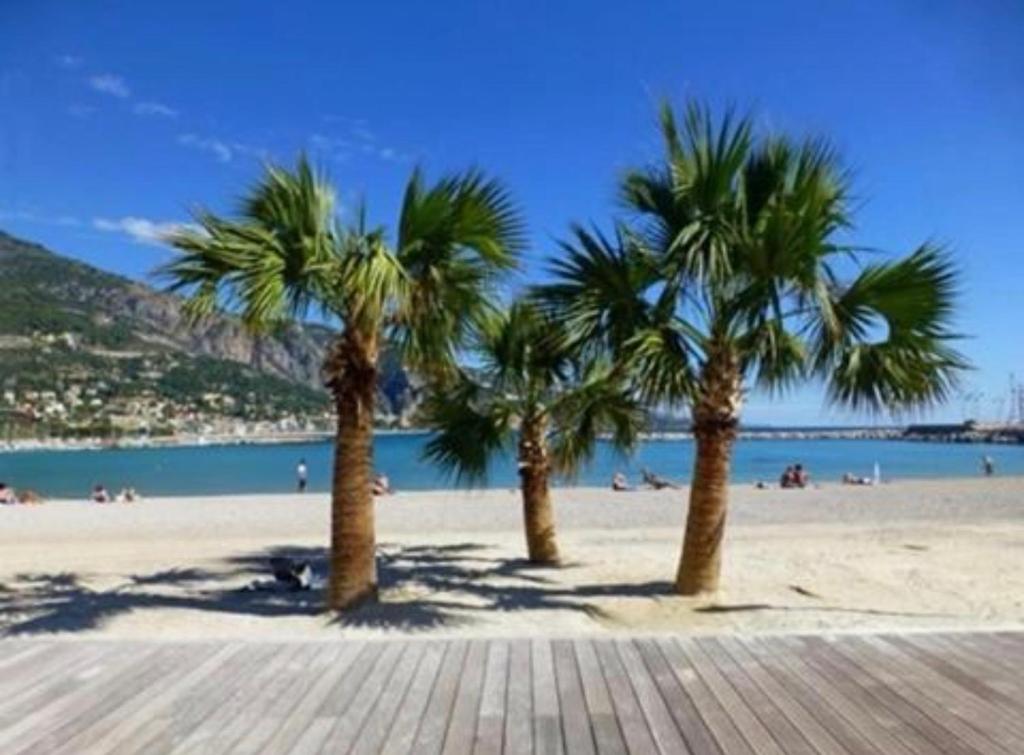 three palm trees on a beach near the water at CHAMBRE dans appartement moderne guest house in Menton