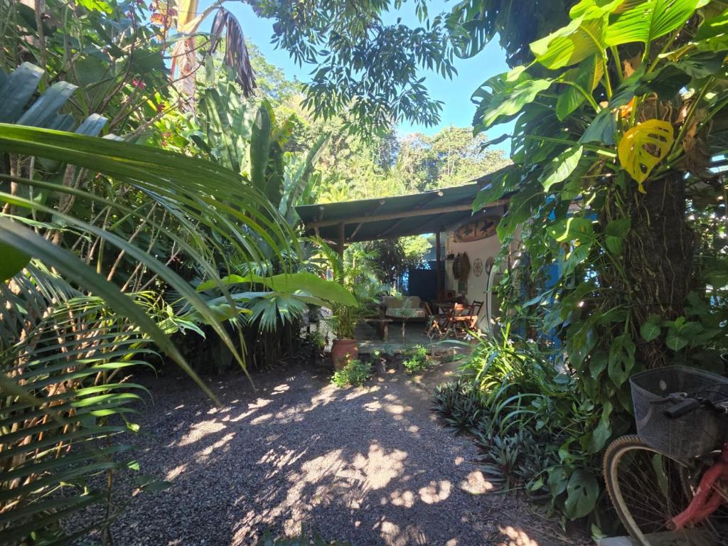 a garden outside a house with a bunch of plants at Villa Residencial Encantos Da Mata in Itacaré