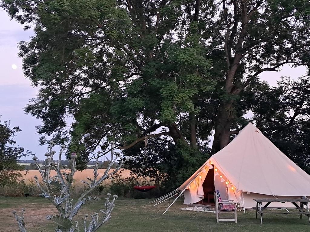 a tent in a field next to a tree at The Old Waterworks - Saturn 6m bell tent in Clare