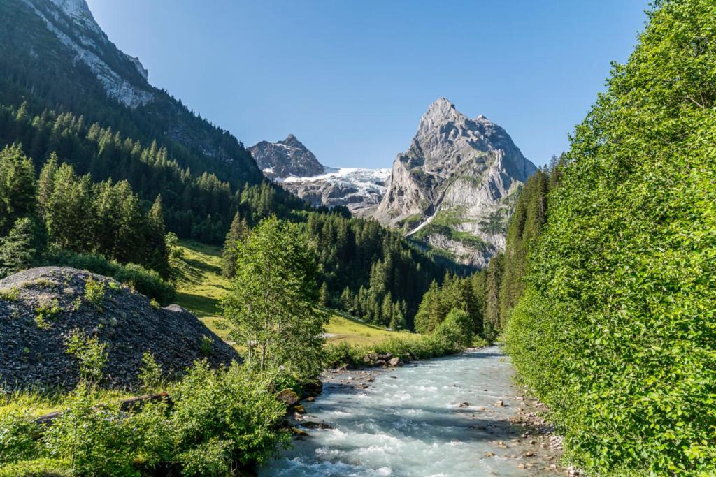 a river in a valley with mountains in the background at Ferienwohnung Rosenlaui in Meiringen