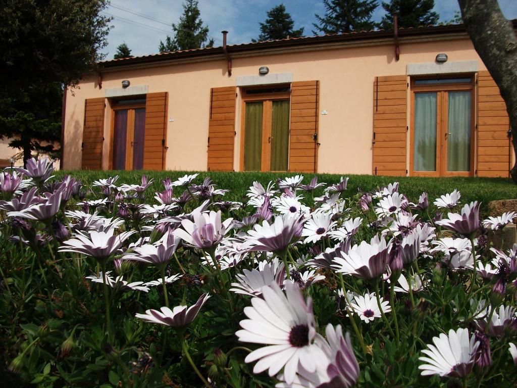 ein Blumenfeld vor einem Haus in der Unterkunft Poggio del Conero in Poggio