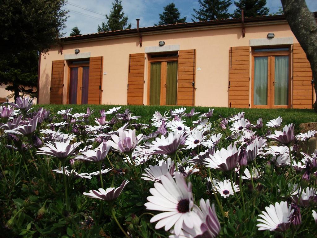 Zahrada ubytování Poggio del Conero