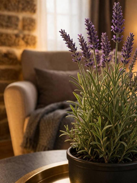 تصویر اتاق‌های Oldrooms Boutique Hotel - تصویر ۲
