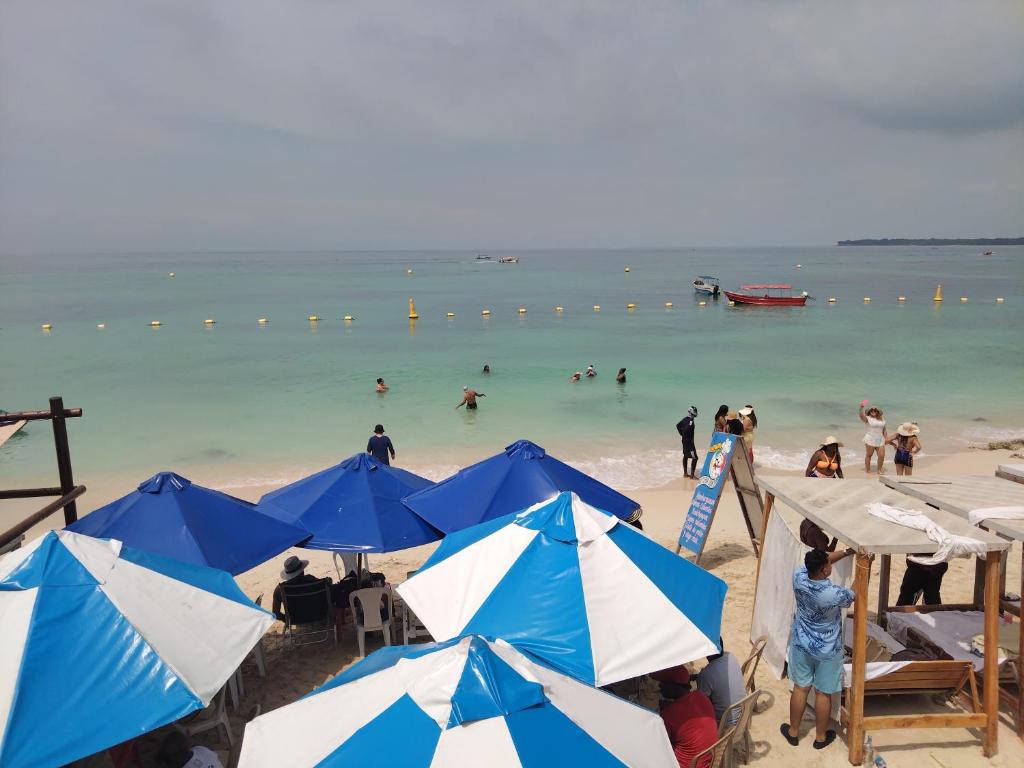 a beach with blue and white umbrellas and people in the water at Venido del mar beach in Cartagena de Indias