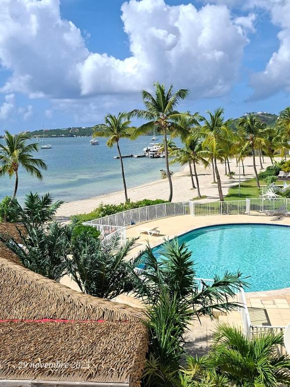 a swimming pool next to a beach with palm trees at Flamboyant Studio avec Piscine et Parking in Saint Martin