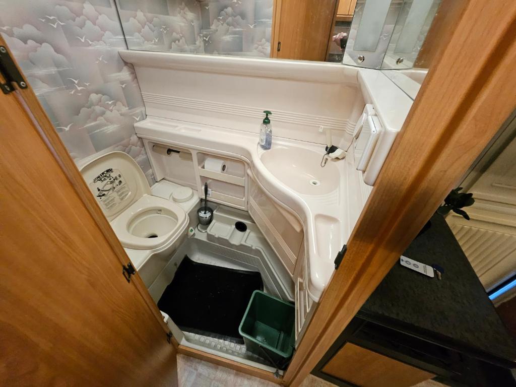 a small bathroom with a sink and a toilet at Full Service Caravan 3 in Søborg
