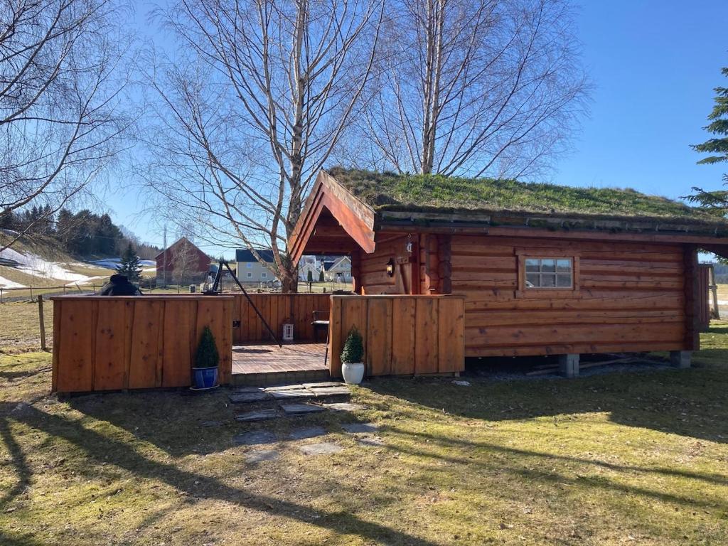 a log cabin with a grass roof at Log cabin in rural surroundings in Stjoerdal