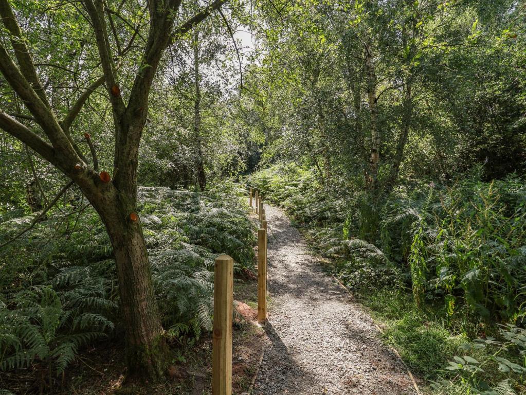 a path in a forest with a tree and plants at Cedar Lodge 2 Bedrooms with hot tub in Northwich