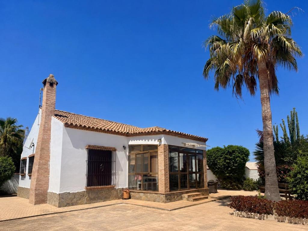 a house with a palm tree in front of it at Chalet Duna in El Palmar